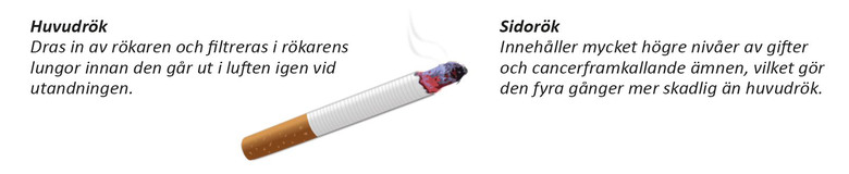 Fakta om cigarettrök och sidorök. 